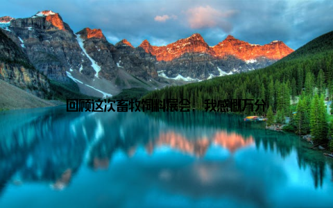 回顾这次畜牧饲料展会, 我感慨万分