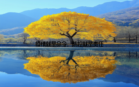 疫情就是命令, 防控就是责任