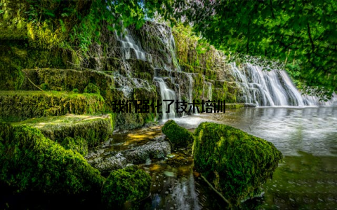 我们强化了技术培训