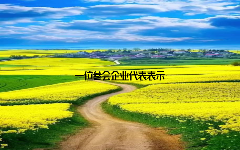 一位参会企业代表表示