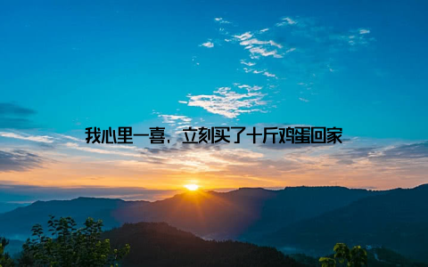 我心里一喜, 立刻买了十斤鸡蛋回家