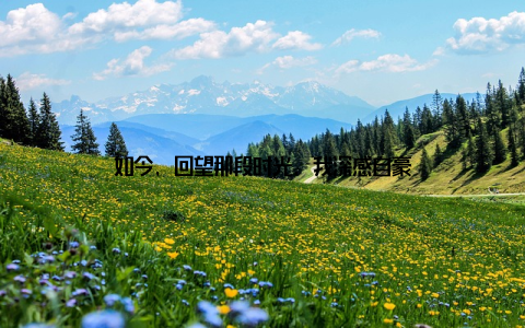 如今, 回望那段时光, 我深感自豪