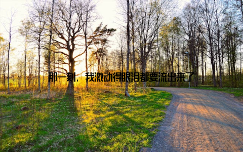 那一刻, 我激动得眼泪都要流出来了