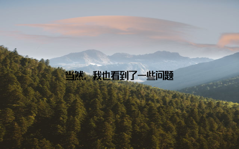 当然, 我也看到了一些问题