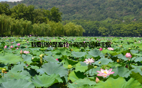 我要说的是畜牧小商城的品种丰富