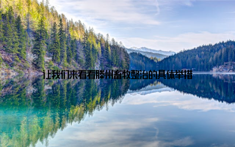 让我们来看看滕州畜牧整治的具体举措