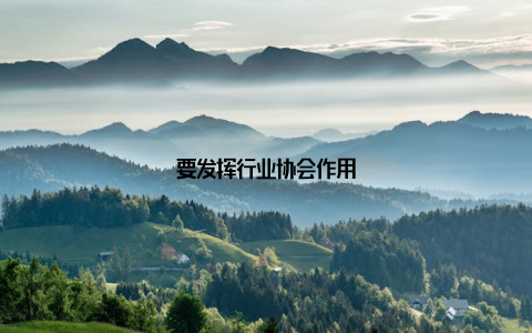 要发挥行业协会作用