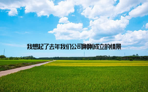 我想起了去年我们公司刚刚成立的情景