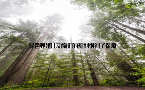 绿色养殖让动物们的福利得到了保障