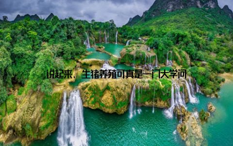 说起来, 生猪养殖可真是一门大学问