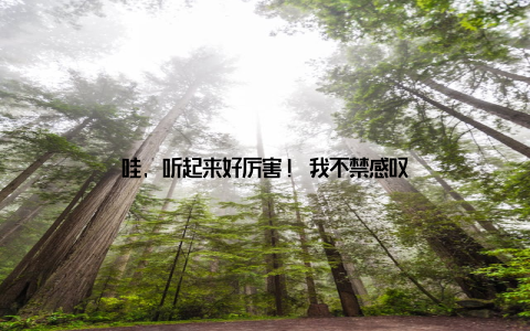 哇, 听起来好厉害! 我不禁感叹