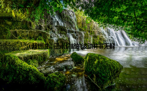 我想说, 玉米价格的波动并非无解