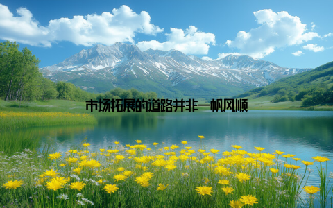 市场拓展的道路并非一帆风顺