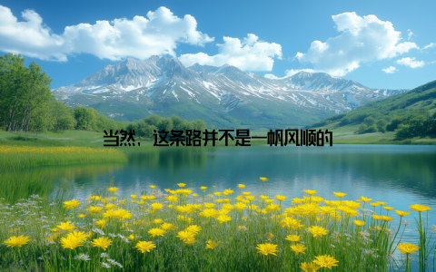 当然, 这条路并不是一帆风顺的