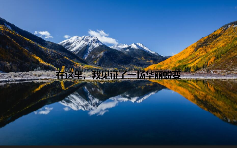 在这里, 我见证了一场华丽蜕变