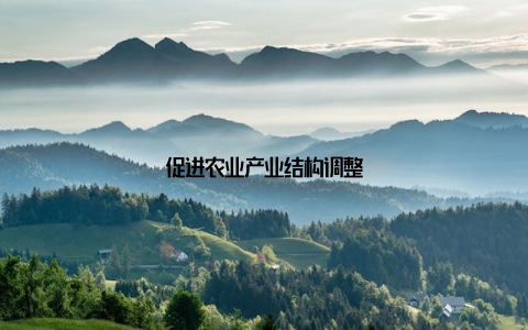 促进农业产业结构调整