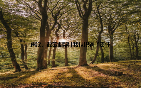 再次, 政策调整让我认识到了责任
