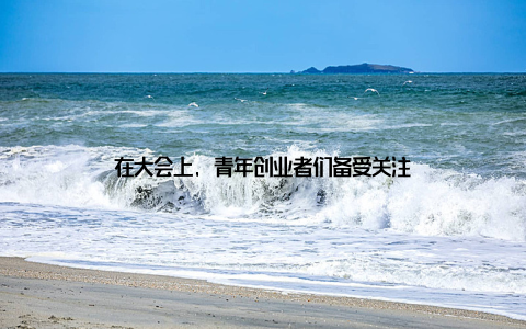 在大会上, 青年创业者们备受关注