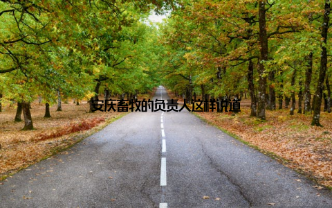 安庆畜牧的负责人这样说道