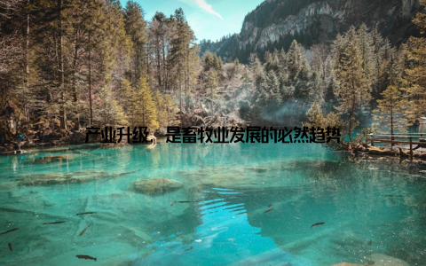 产业升级, 是畜牧业发展的必然趋势