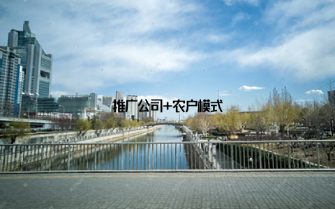 推广公司+农户模式