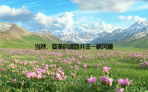 当然, 变革的道路并非一帆风顺