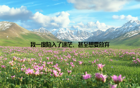 我一度陷入了迷茫, 甚至想要放弃