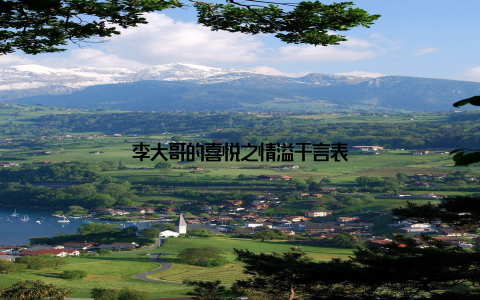 李大哥的喜悦之情溢于言表