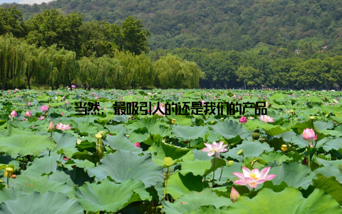 当然, 最吸引人的还是我们的产品