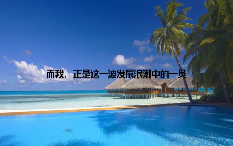 而我, 正是这一波发展浪潮中的一员