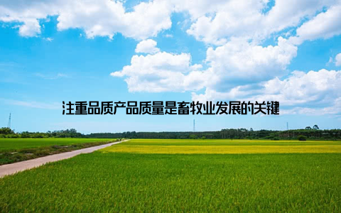 注重品质产品质量是畜牧业发展的关键