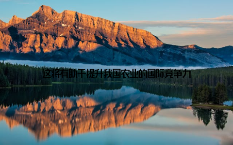 这将有助于提升我国农业的国际竞争力