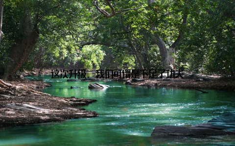 这次升级, 我们可谓是下足了功夫