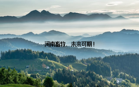 河南畜牧, 未来可期!