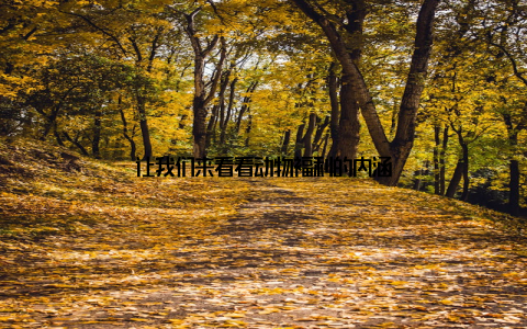 让我们来看看动物福利的内涵