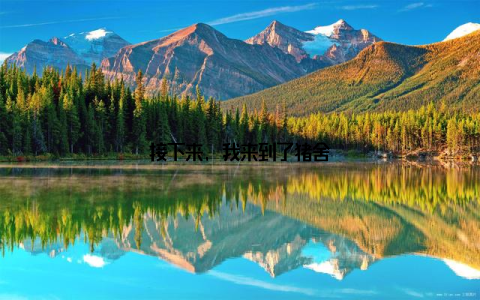 接下来, 我来到了猪舍