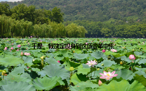 于是, 我决定投身到这场变革中来