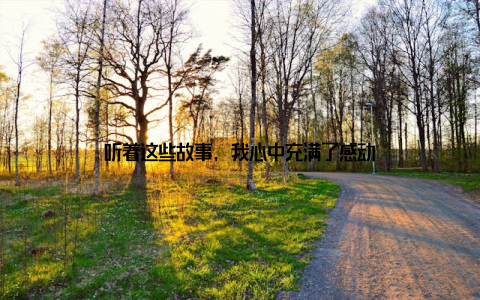 听着这些故事, 我心中充满了感动