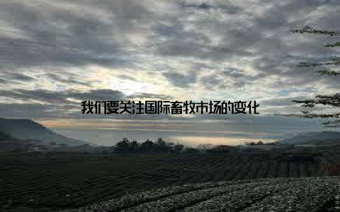 我们要关注国际畜牧市场的变化