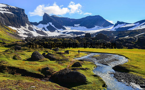 我们将积极拓展市场, 扩大市场份额