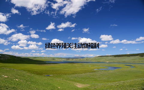 绿色养殖关注动物福利