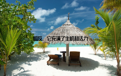 相反, 它充满了生机和活力