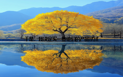 于是, 我决定买一些他们的产品试试