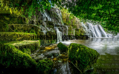 优化养殖环境, 保障动物健康