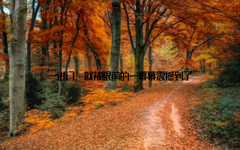 一进门, 就被眼前的一幕幕震撼到了