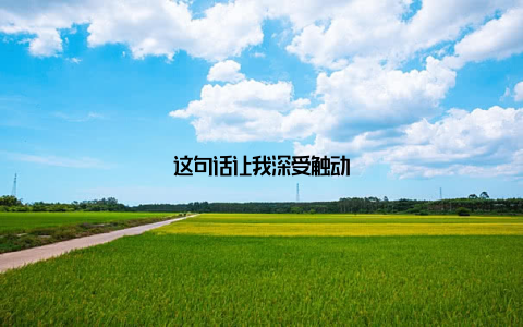 这句话让我深受触动