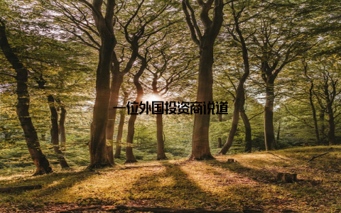 一位外国投资商说道