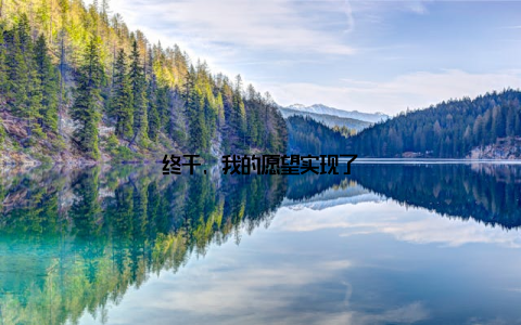 终于, 我的愿望实现了