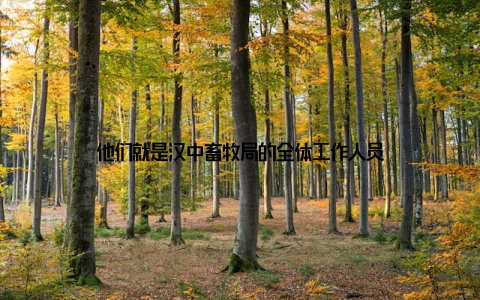 他们就是汉中畜牧局的全体工作人员