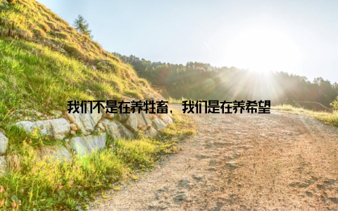 我们不是在养牲畜, 我们是在养希望